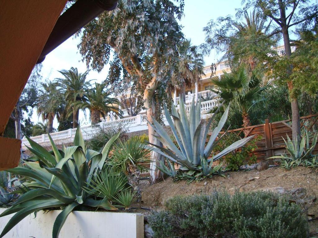 Residence Les Terrasses Du Mirage - Duplex Vue Mer Борм-ле-Мимоза Экстерьер фото